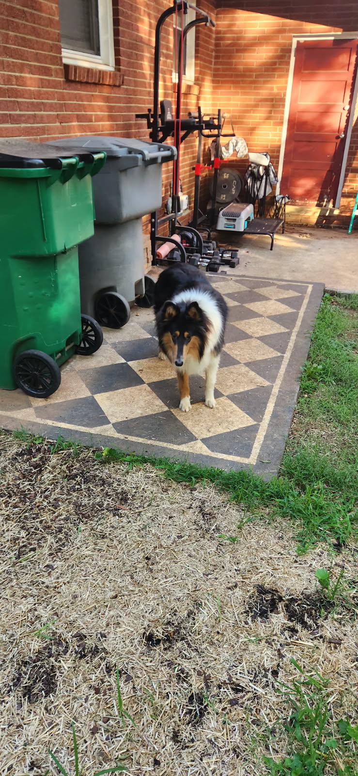 Image 4 of 95