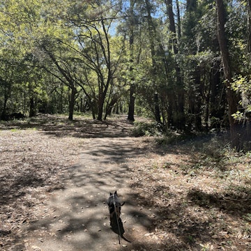 Image 4 of 5