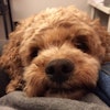 Maggie S.
