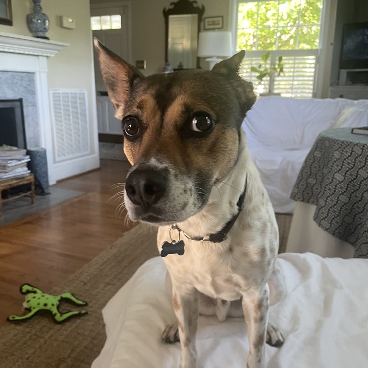 Image 1 of 108