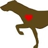 Casemanagers NorCal GSP Rescue .