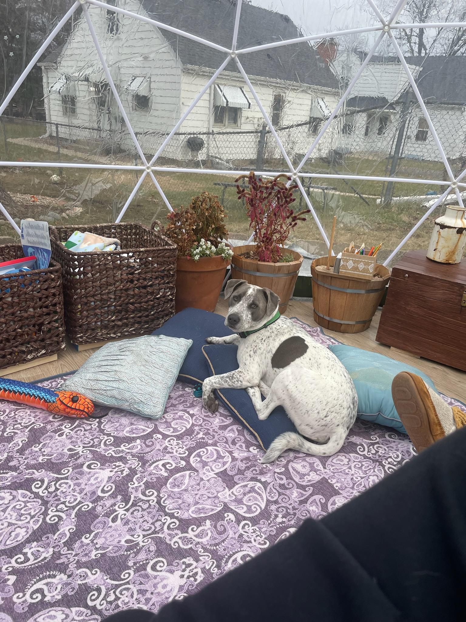 Image 2 of 105