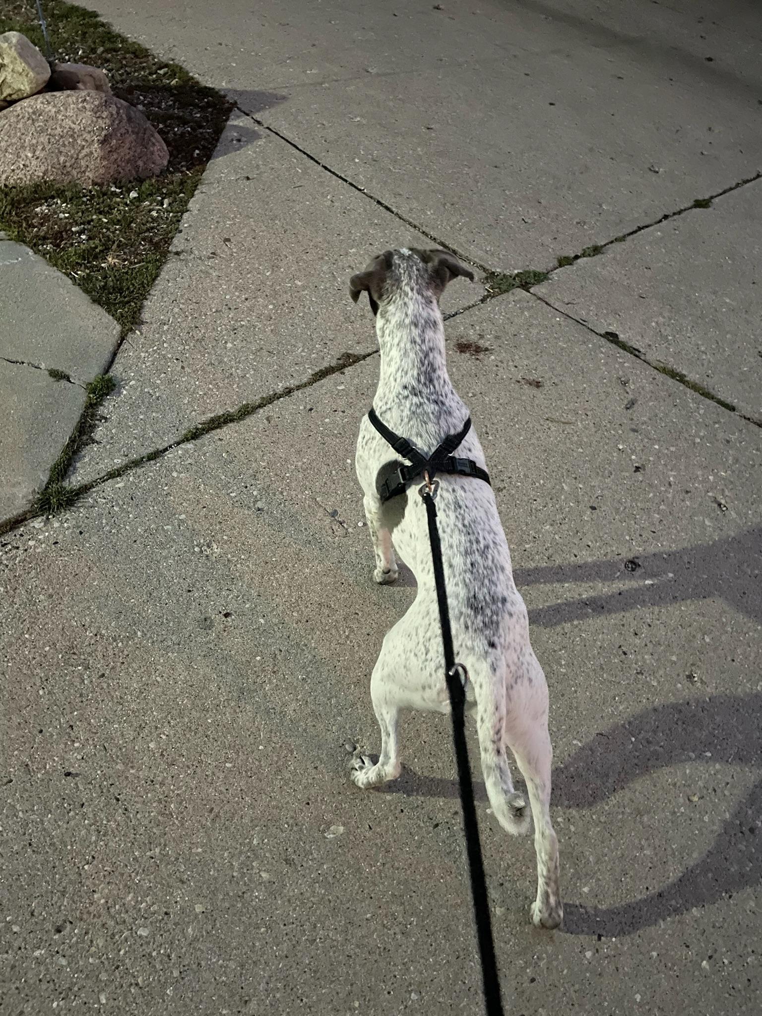 Image 1 of 105