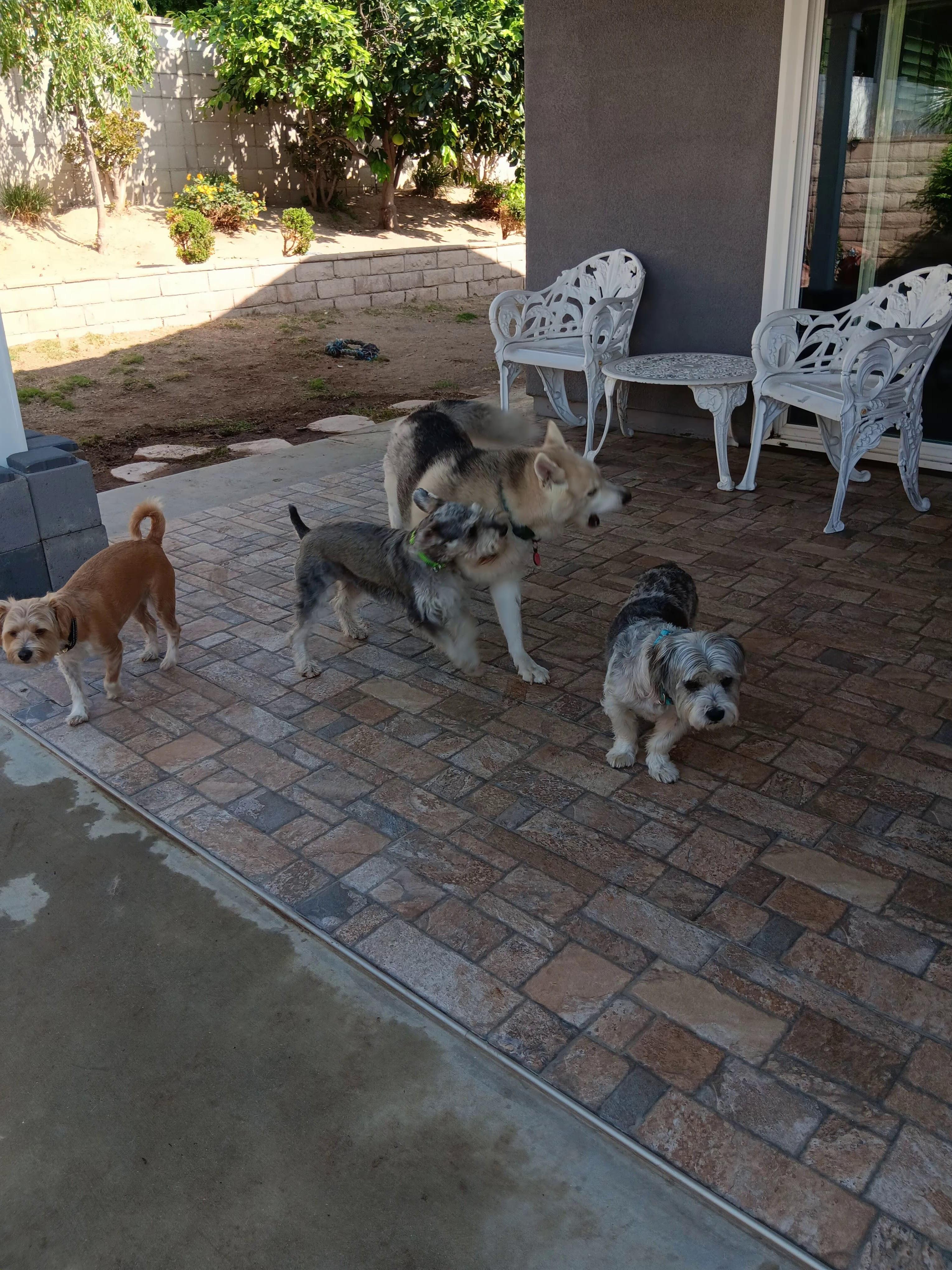 Image 3 of 75