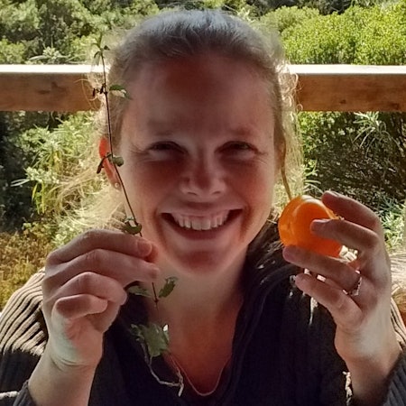 Anita S.