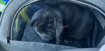 Image 5 of 6