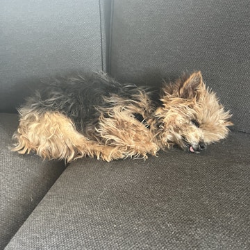 Image 1 of 8