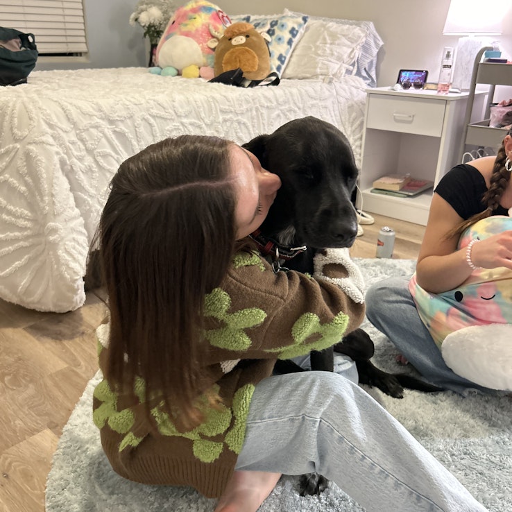 Image 1 of 17