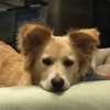 Maggie E.