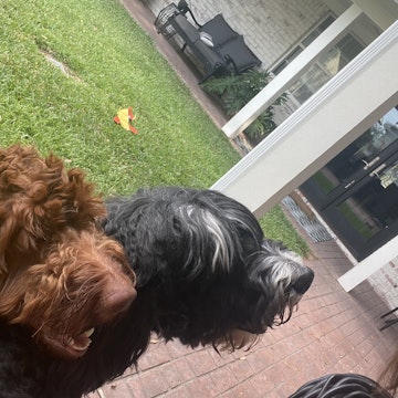 Image 1 of 111