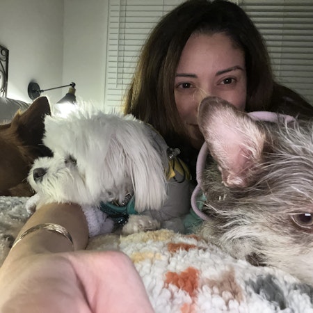 Sitter Profile Image: Cristina & Martin L.