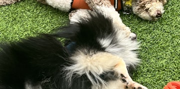 Image 2 of 4