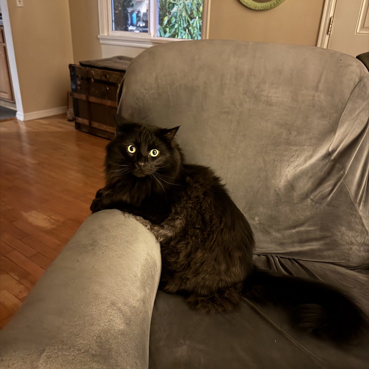 Image 1 of 34