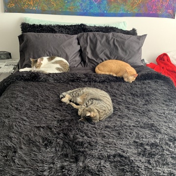 Image 4 of 34