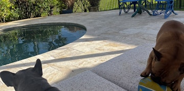 Image 4 of 22
