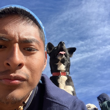 Image 5 of 13