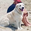 Susie C.