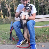 Photo de profil du pet sitter : Yohann K.