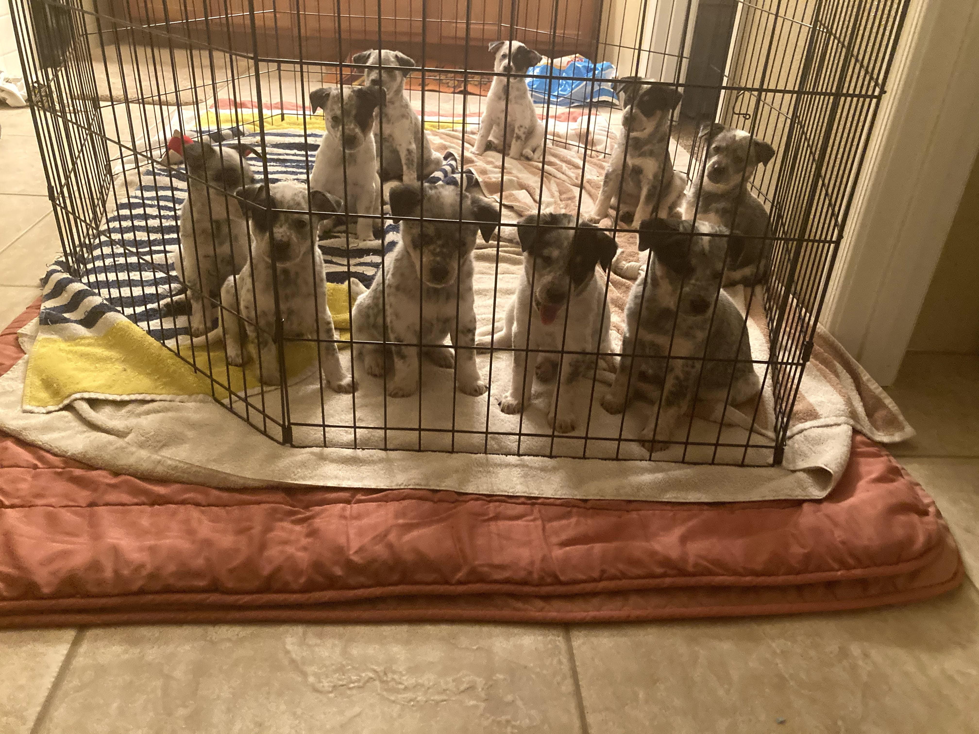 Image 4 of 116