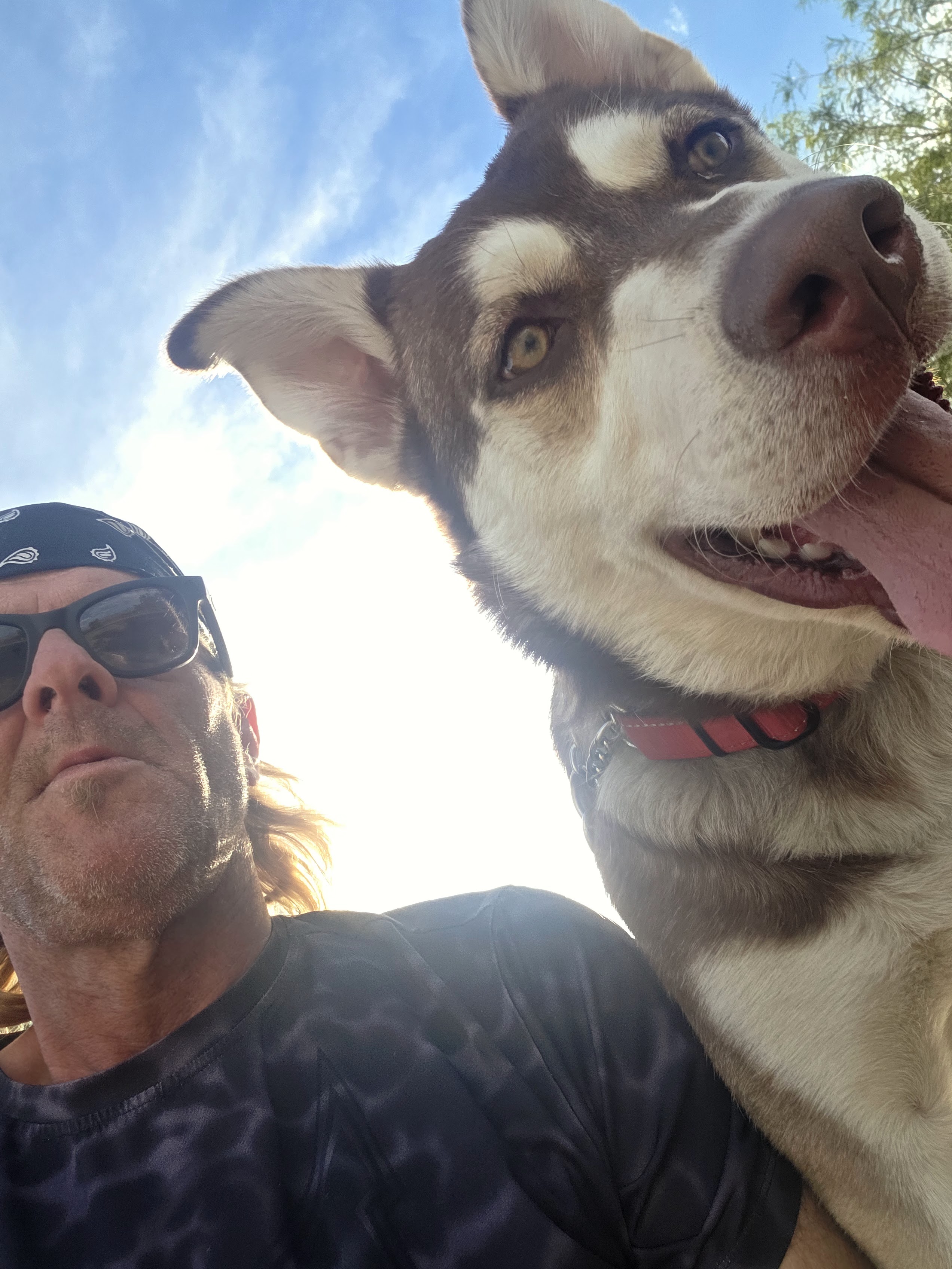 Sitter Profile Image: Thomas B.