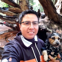 Sitter Profile Image: Juan J.