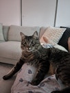 Bild 2