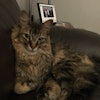 Samantha N.