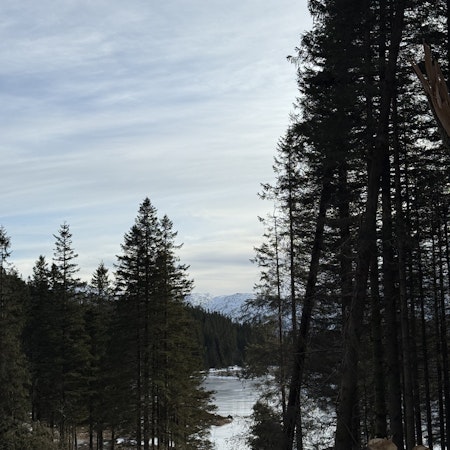 Image 3 of 3