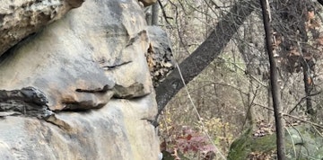 Image 3 of 20