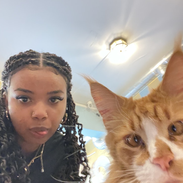 Image 1 of 18