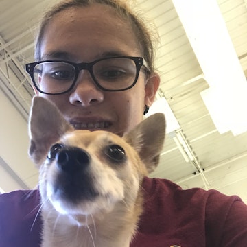 Image 1 of 12