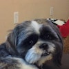 Tobi F.