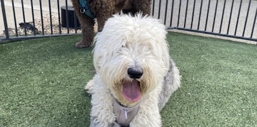 Bild 4 von 9