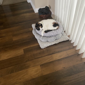 Image 2 of 81