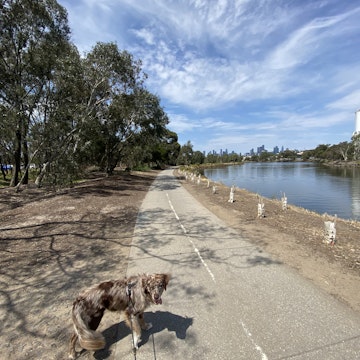 Image 4 of 5