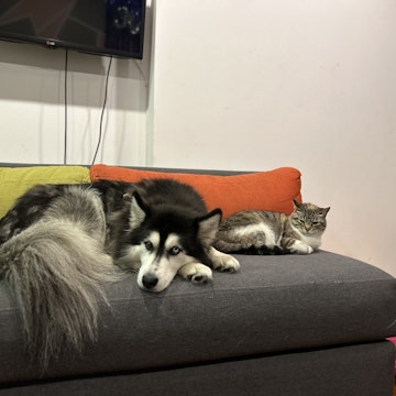 Image 2 of 16