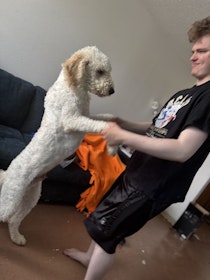 Image 0