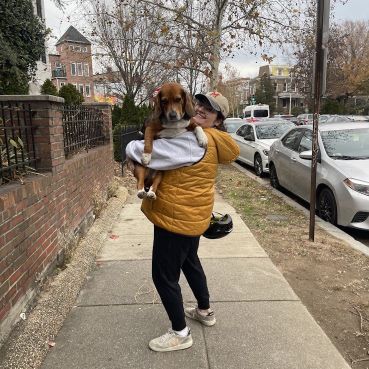 Image 1 of 42