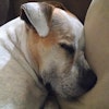 Toby S.