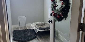 Image 3 of 25