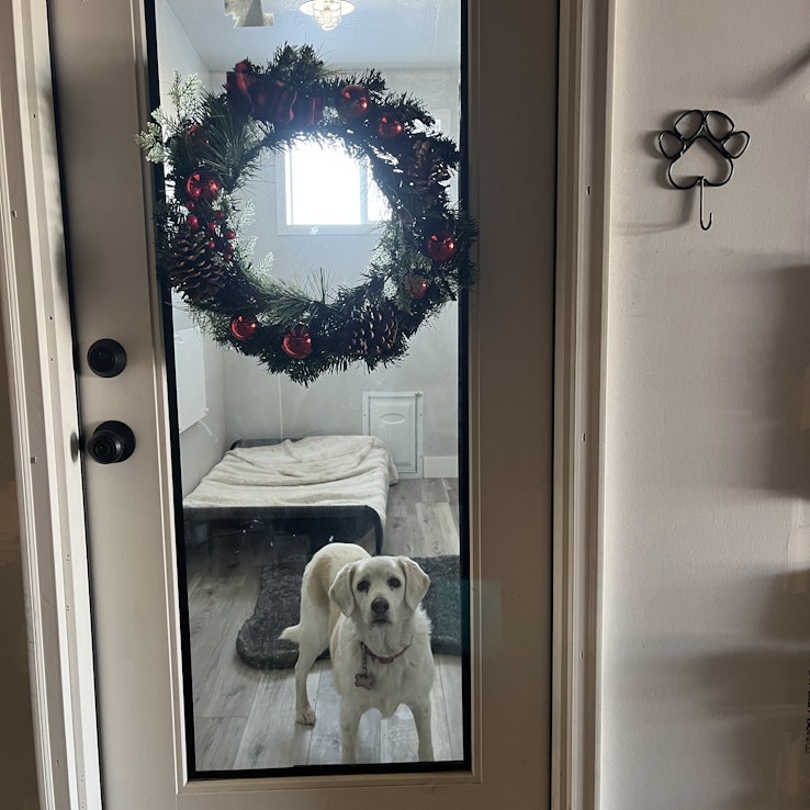 Image 1 of 25