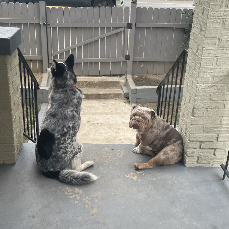 Image 1 of 112