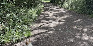 Image 5 of 23