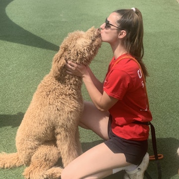 Image 3 of 7