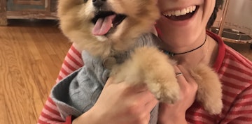 Image 2 of 41