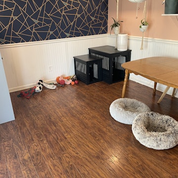 Image 4 of 123