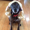 Sandi H.