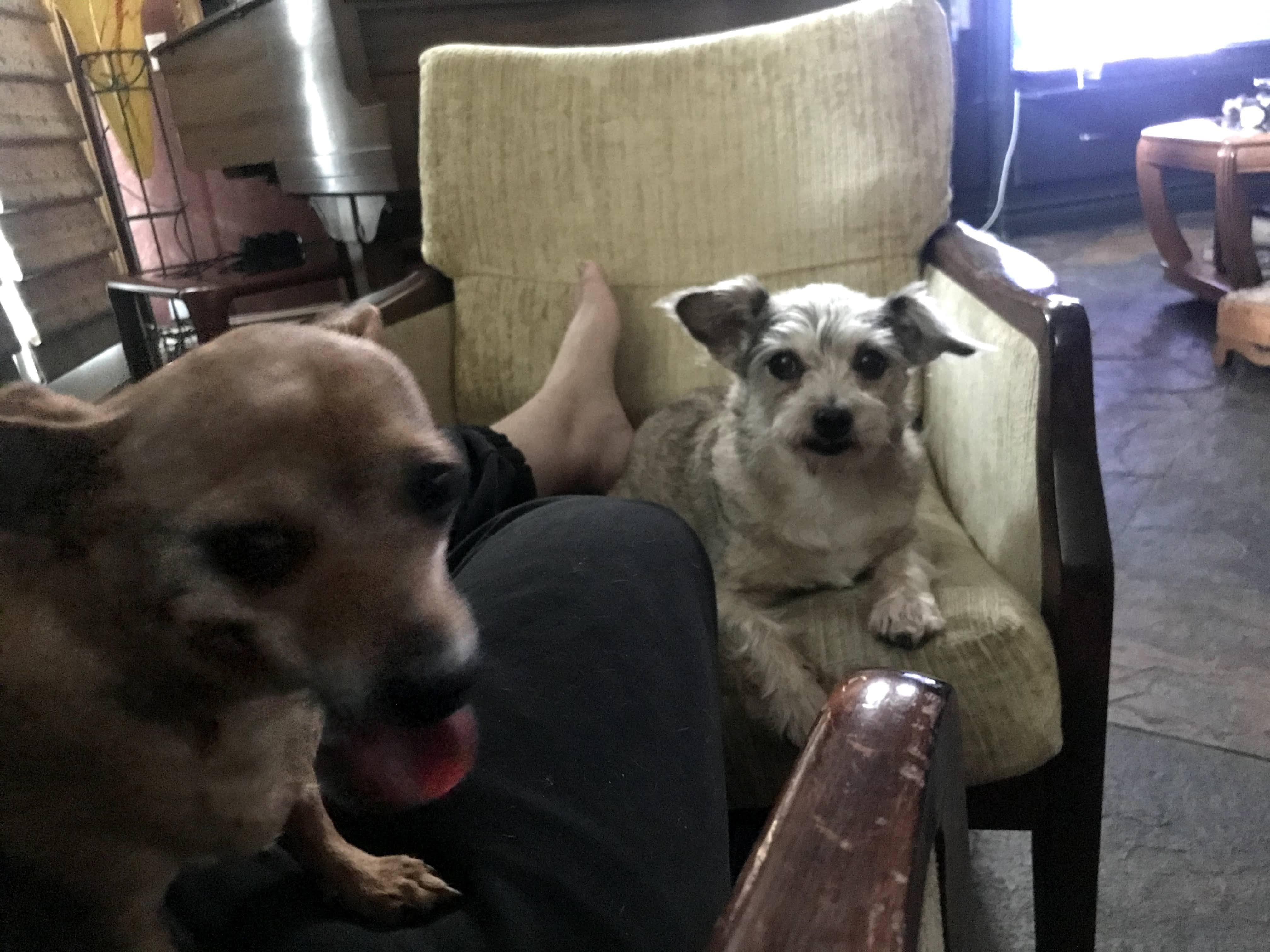 Image 1 of 6
