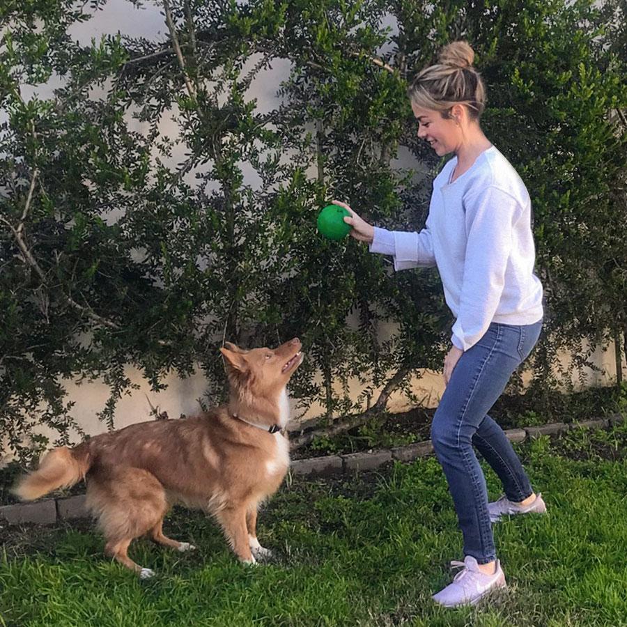 San Diego's Best Dog Boarding Sitters & Dog Walkers  Rover.com