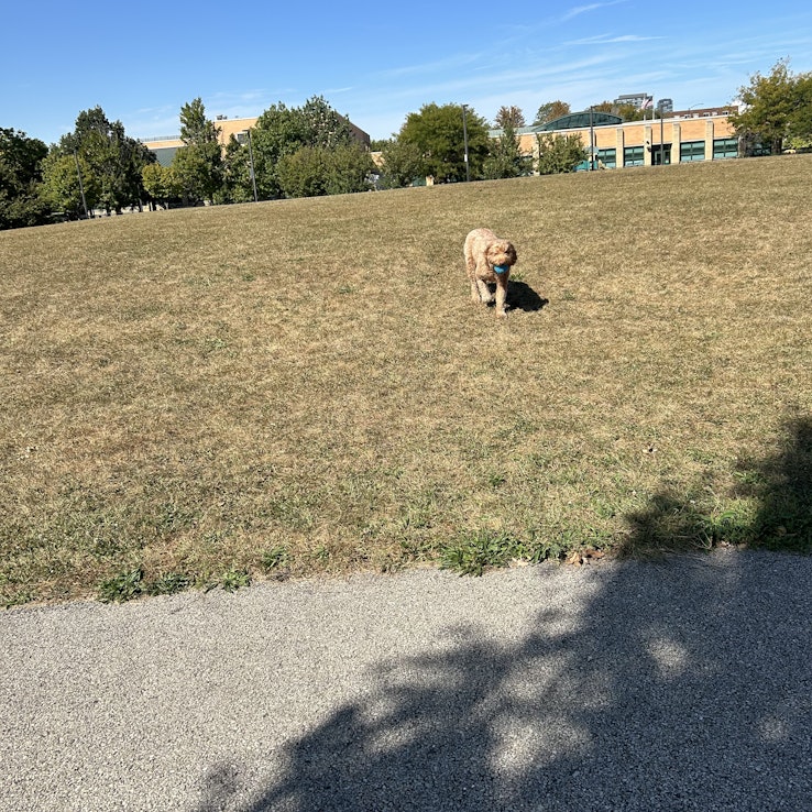 Image 1 of 25